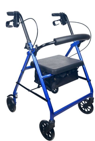 Picture of Territory Walker - Blue Colour